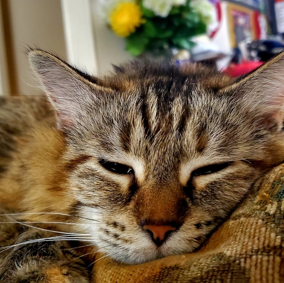 Meet your Posher, Reycel - Picture 2 of 2